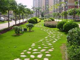 贝博艾佛森 风景园林管理的盲点：缺乏对自然生态的维护
